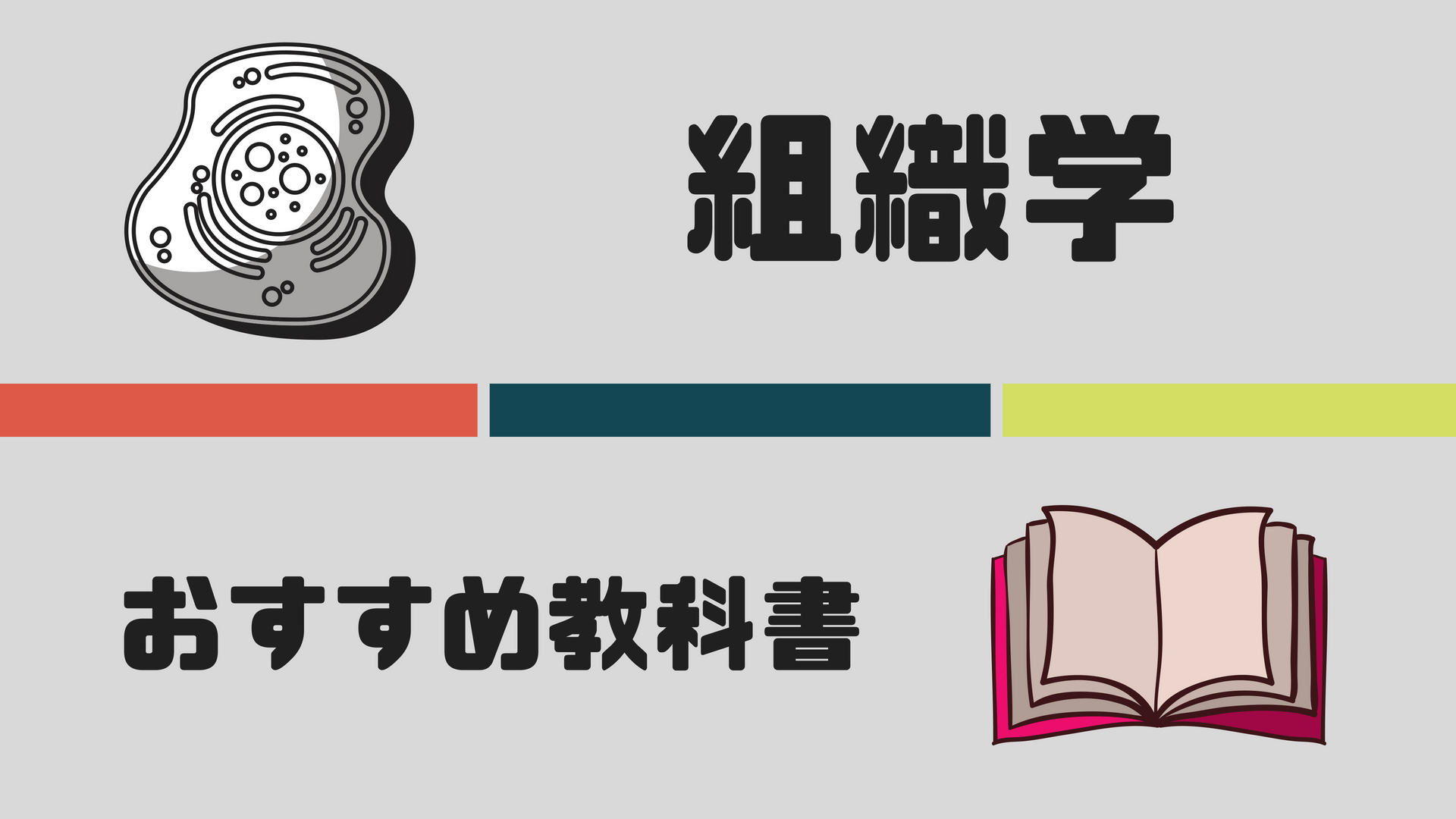 組織学教科書・問題集・参考書おすすめ10選